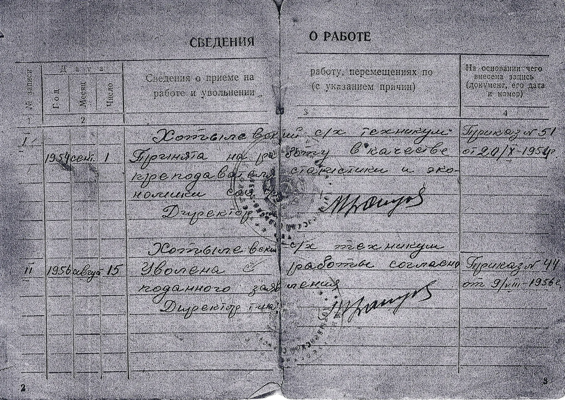 Фотография