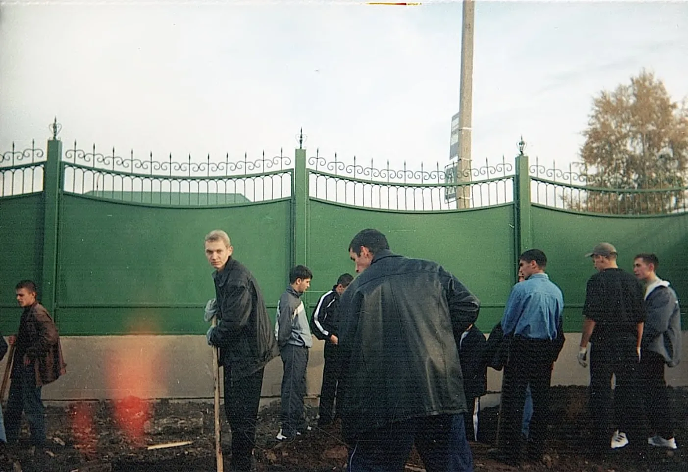 Посадка деревьев в Комсомольском парке