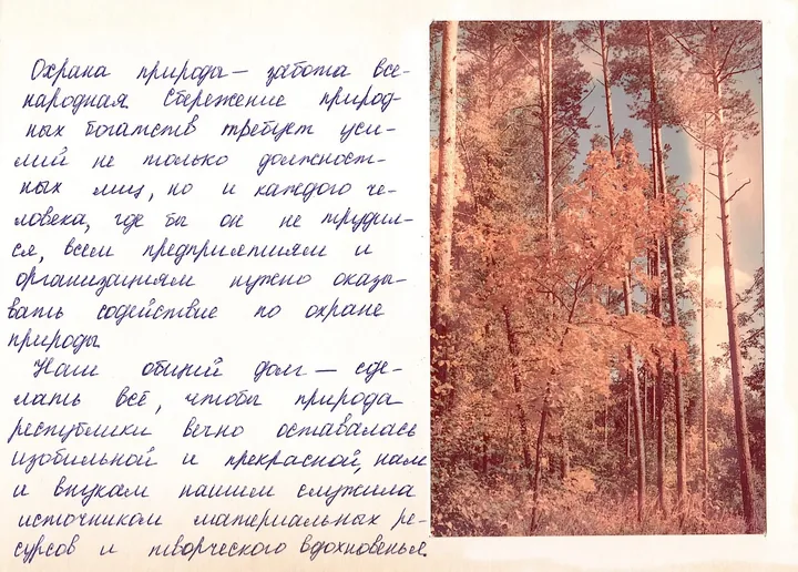 Лесной массив в окрестностях Альметьевска